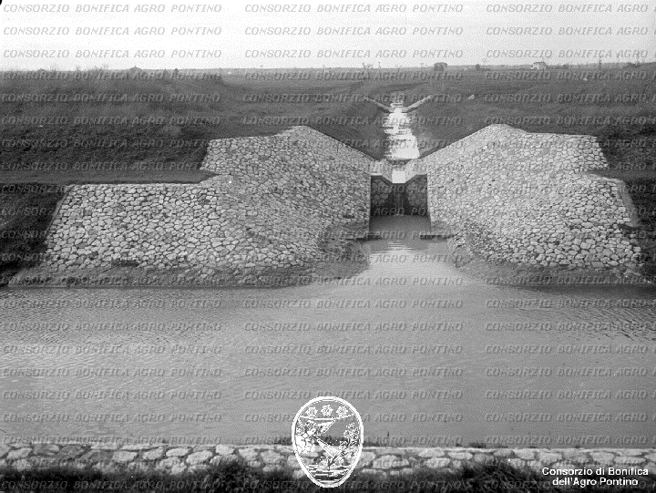 PONTINO/BOR001812.jpg