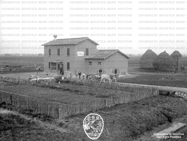 PONTINO/BOR001813.jpg