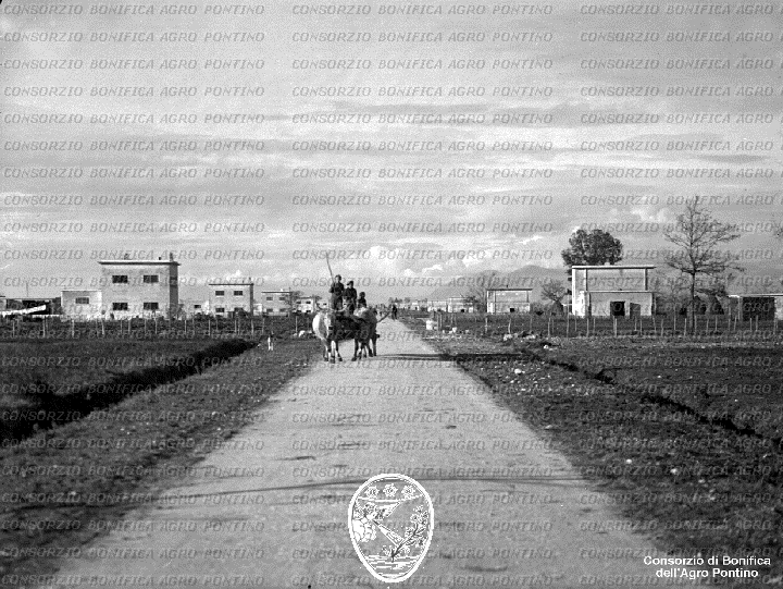 PONTINO/BOR001819.jpg