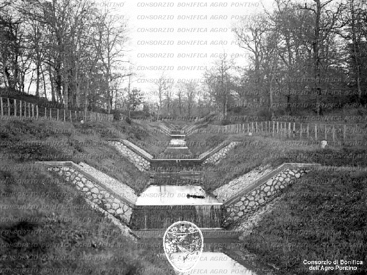 PONTINO/BOR001824.jpg