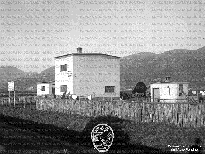PONTINO/BOR001841.jpg