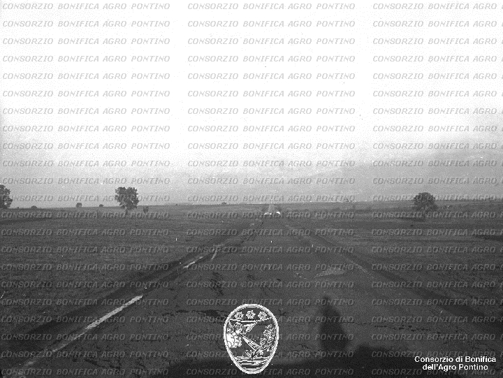 PONTINO/BOR001851.jpg