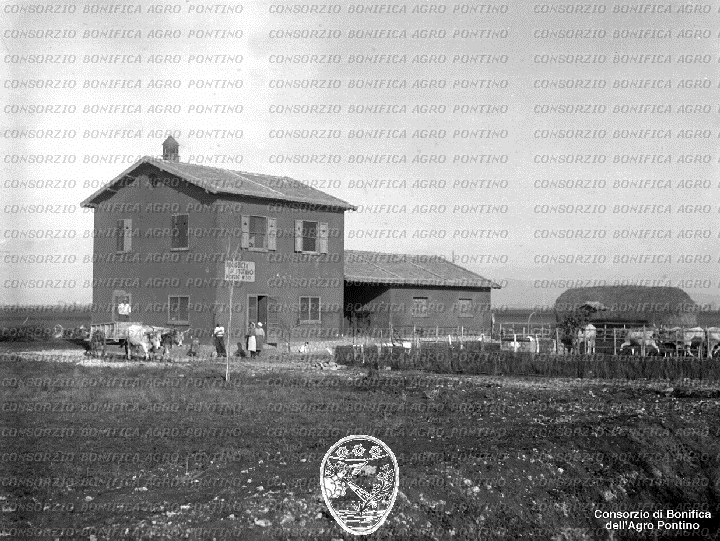 PONTINO/BOR001855.jpg