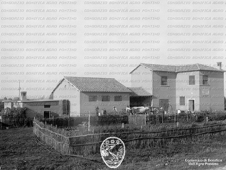 PONTINO/BOR001858.jpg