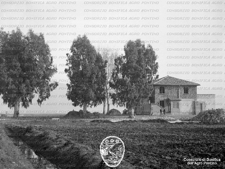 PONTINO/BOR001859.jpg