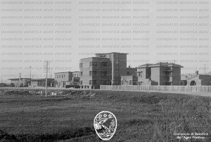 PONTINO/BOR001863.jpg