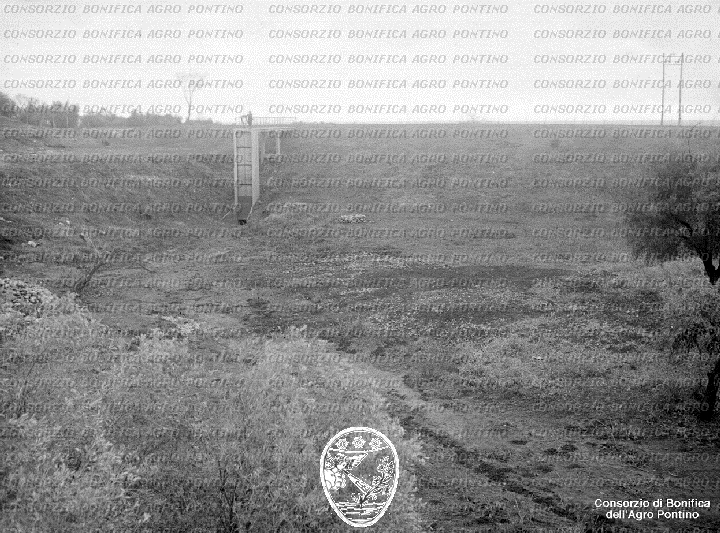 PONTINO/BOR001871.jpg