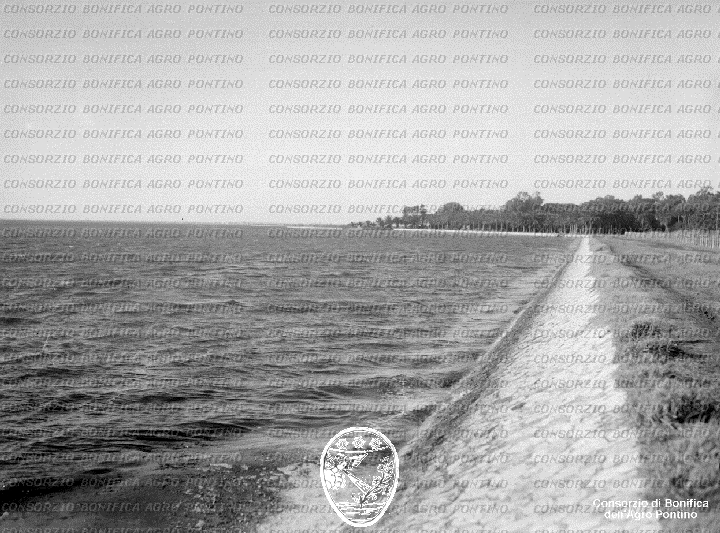 PONTINO/BOR001872.jpg