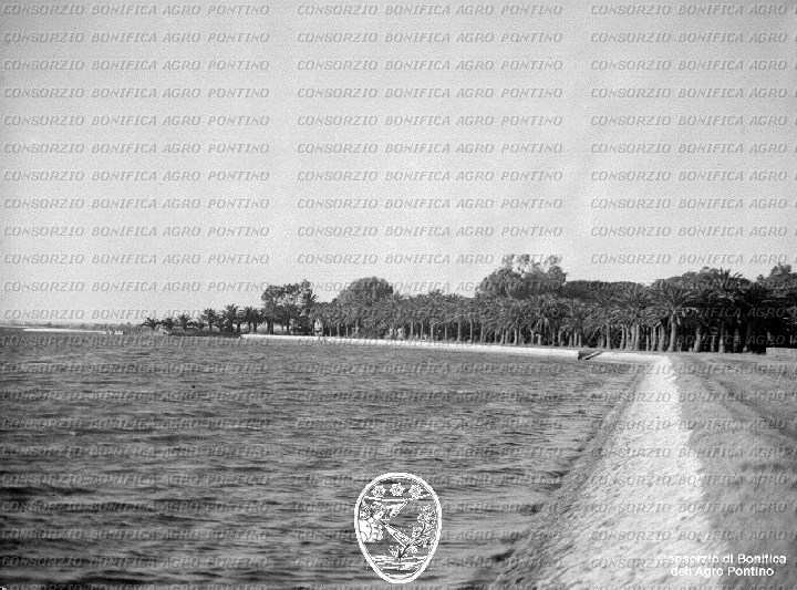 PONTINO/BOR001873.jpg