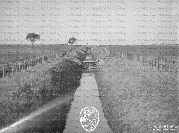 PONTINO/BOR001875.jpg