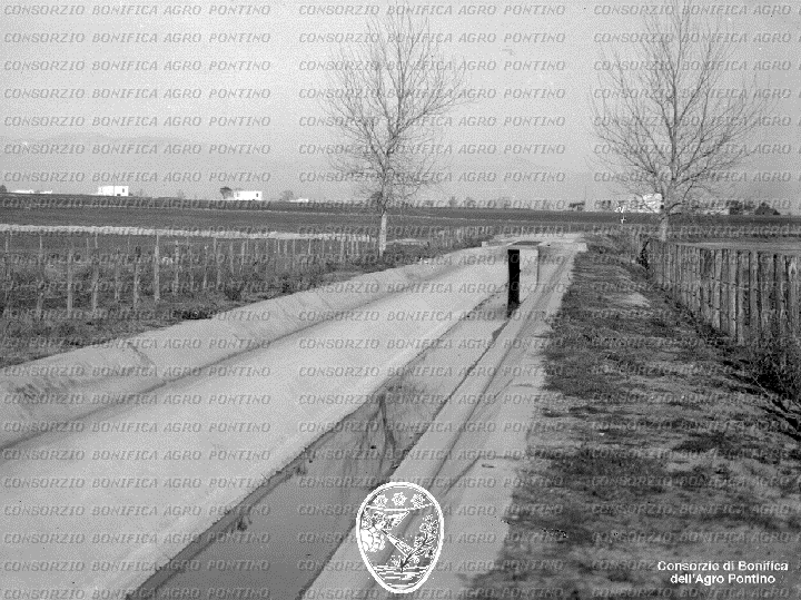 PONTINO/BOR001879.jpg