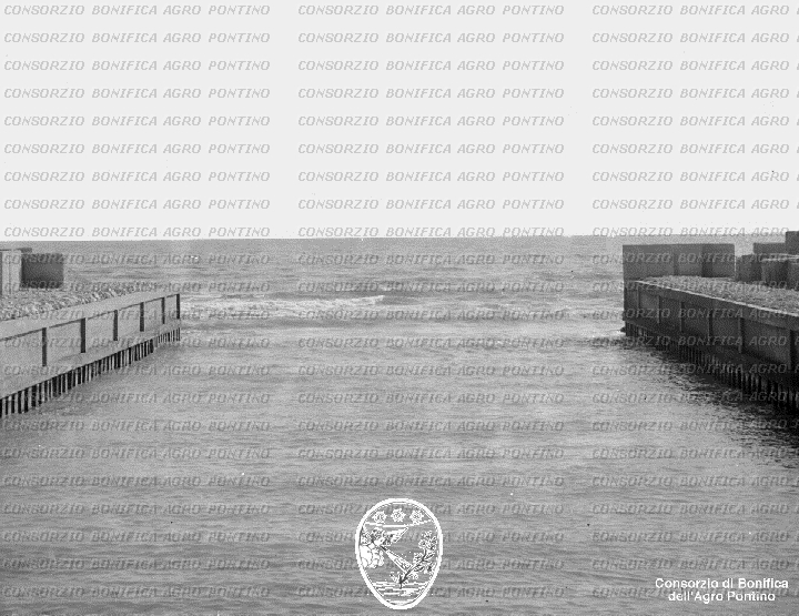 PONTINO/BOR001880.jpg