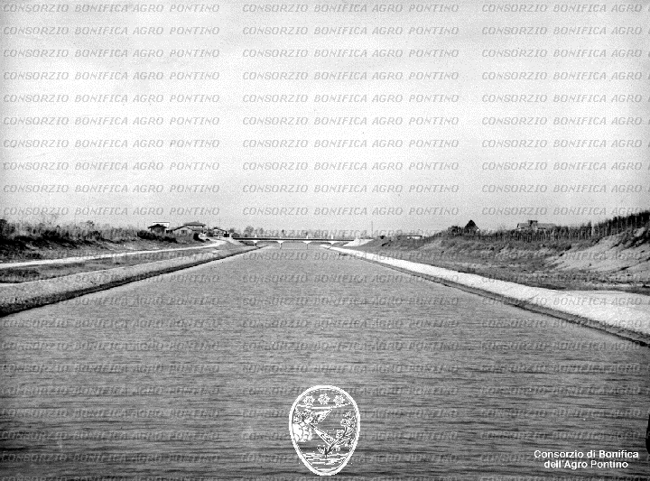 PONTINO/BOR001882.jpg