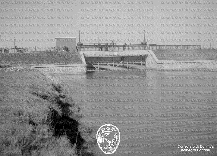 PONTINO/BOR001883.jpg