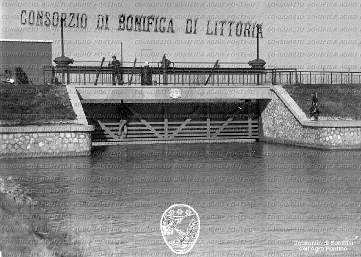 PONTINO/BOR001884.jpg