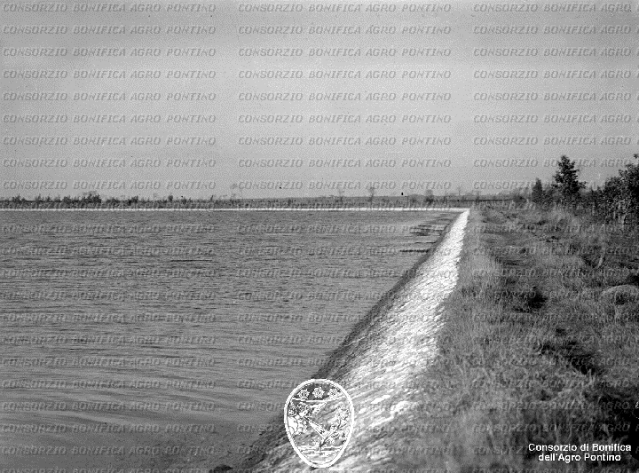PONTINO/BOR001903.jpg
