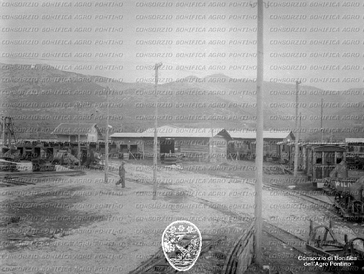 PONTINO/BOR001915.jpg