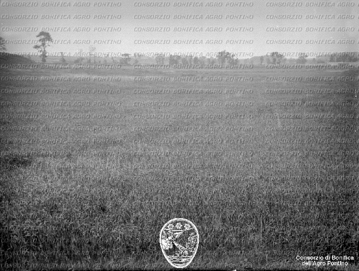 PONTINO/BOR001920.jpg