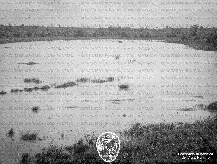 PONTINO/BOR001927.jpg