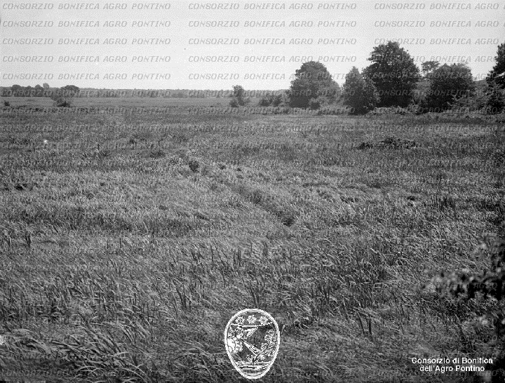 PONTINO/BOR001937.jpg