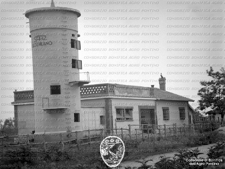 PONTINO/BOR001942.jpg
