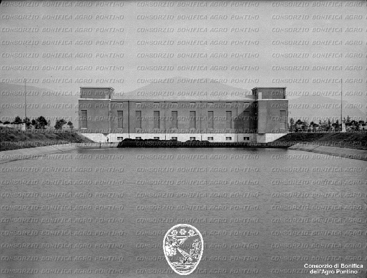 PONTINO/BOR001943.jpg