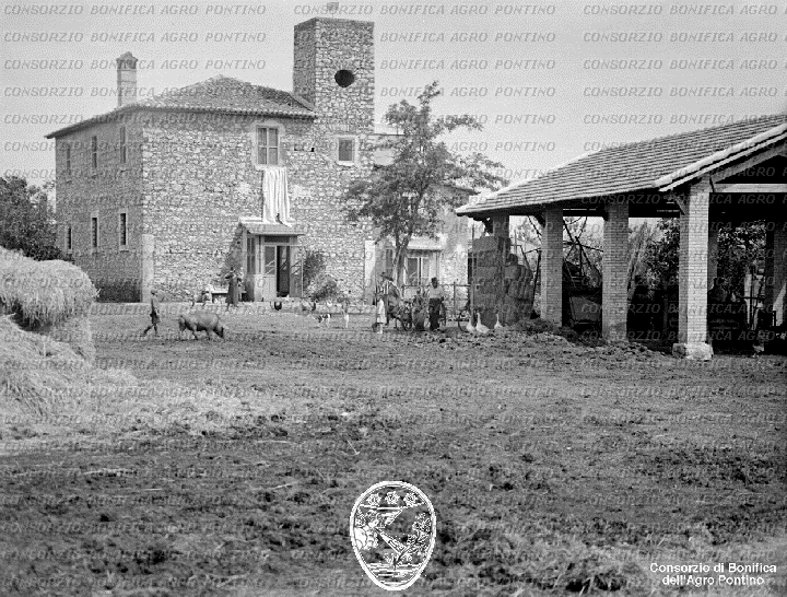 PONTINO/BOR001946.jpg