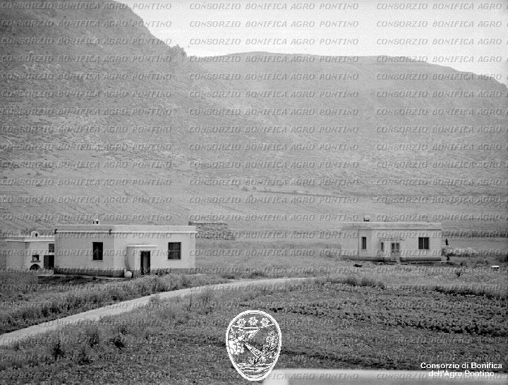 PONTINO/BOR001947.jpg