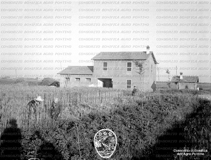 PONTINO/BOR001953.jpg