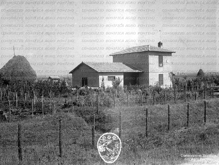 PONTINO/BOR001954.jpg