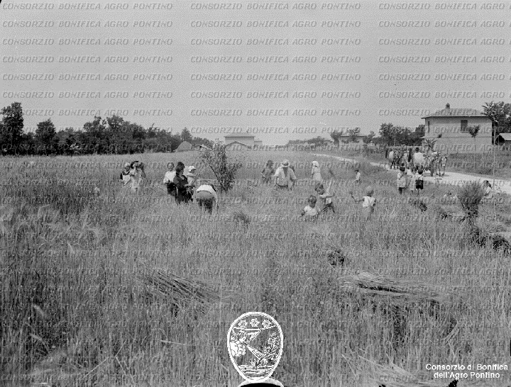PONTINO/BOR001955.jpg