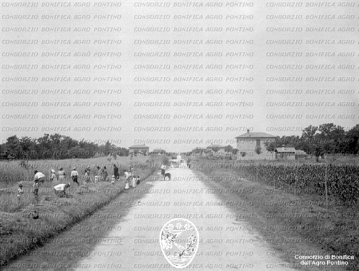 PONTINO/BOR001957.jpg