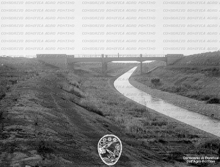 PONTINO/BOR001959.jpg