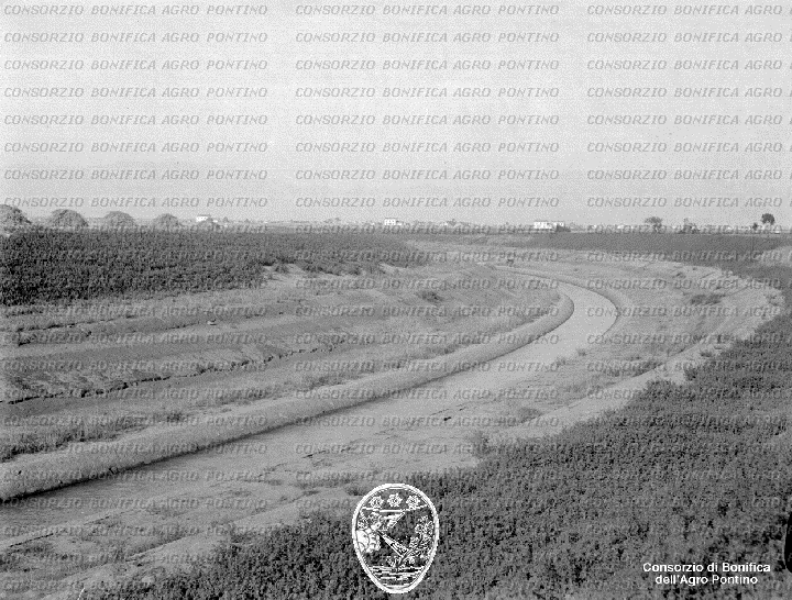PONTINO/BOR001961.jpg