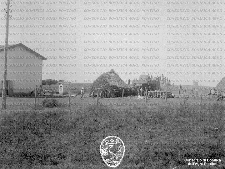 PONTINO/BOR001962.jpg