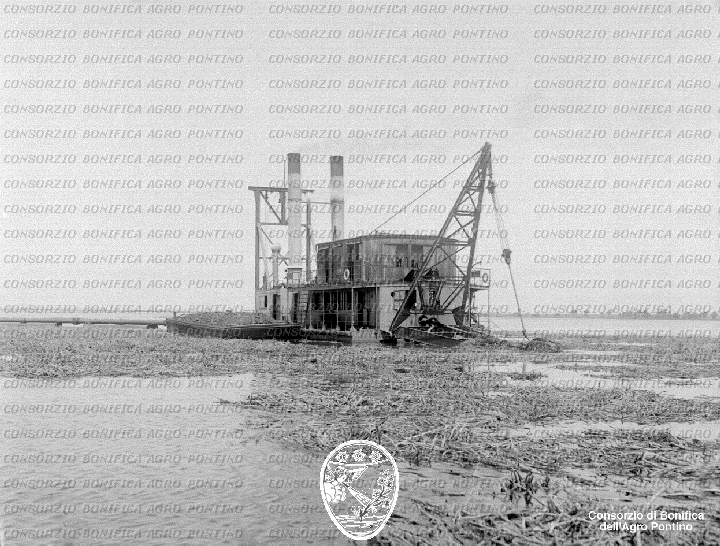 PONTINO/BOR001967.jpg
