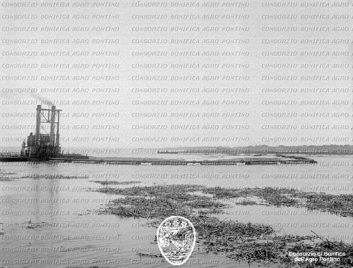 PONTINO/BOR001969.jpg