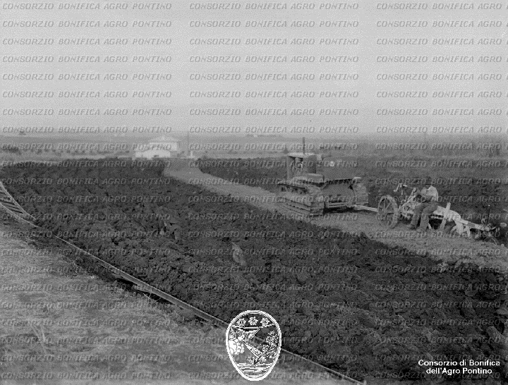 PONTINO/BOR001973.jpg