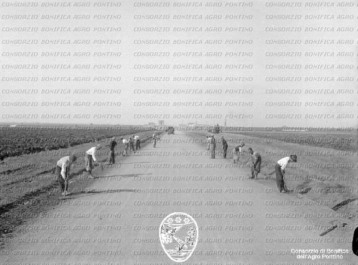 PONTINO/BOR001974.jpg
