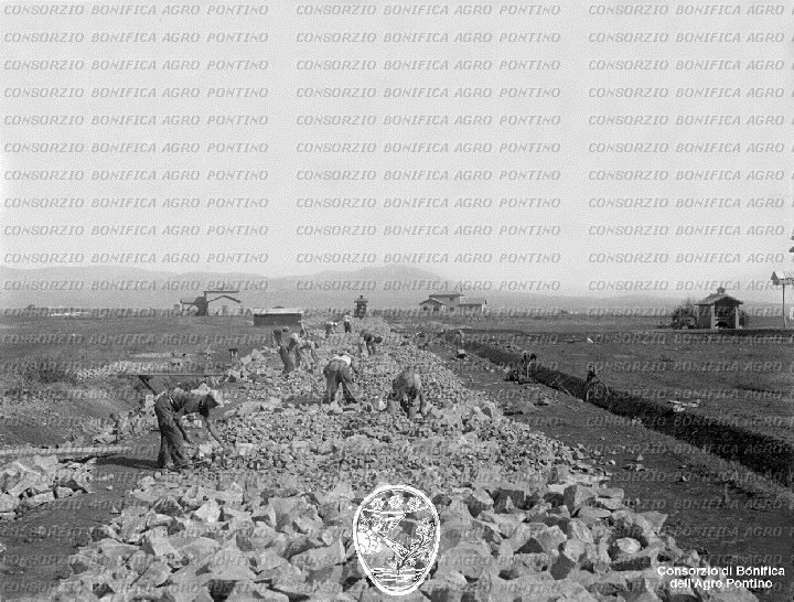 PONTINO/BOR001976.jpg