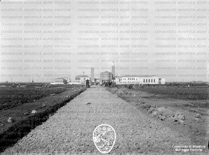 PONTINO/BOR001977.jpg