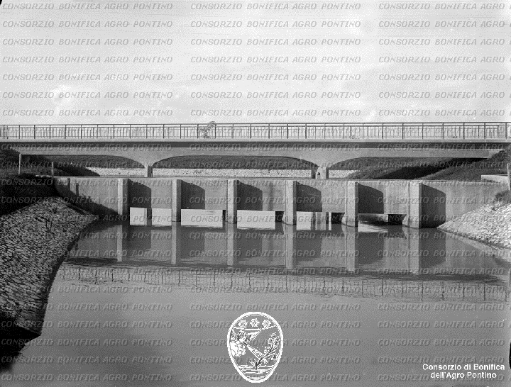 PONTINO/BOR001986.jpg