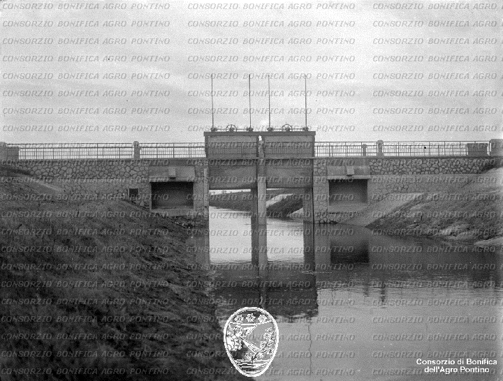 PONTINO/BOR001990.jpg