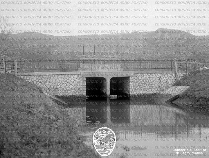 PONTINO/BOR001992.jpg