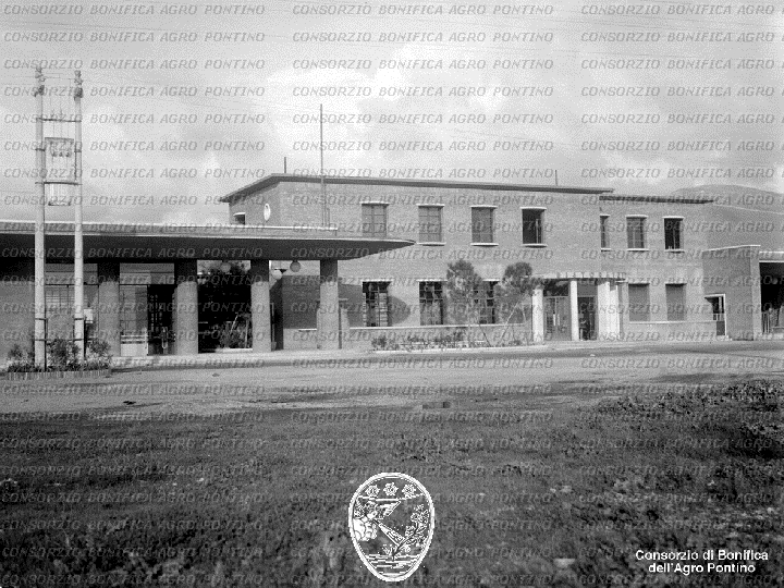 PONTINO/BOR001997.jpg