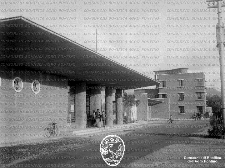 PONTINO/BOR001998.jpg