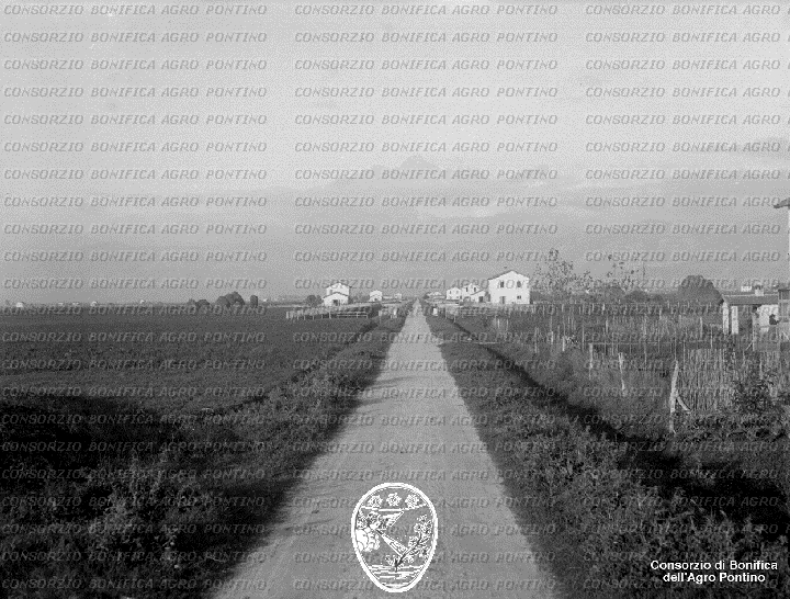 PONTINO/BOR002000.jpg