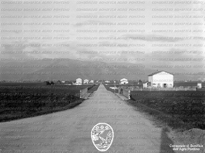 PONTINO/BOR002001.jpg