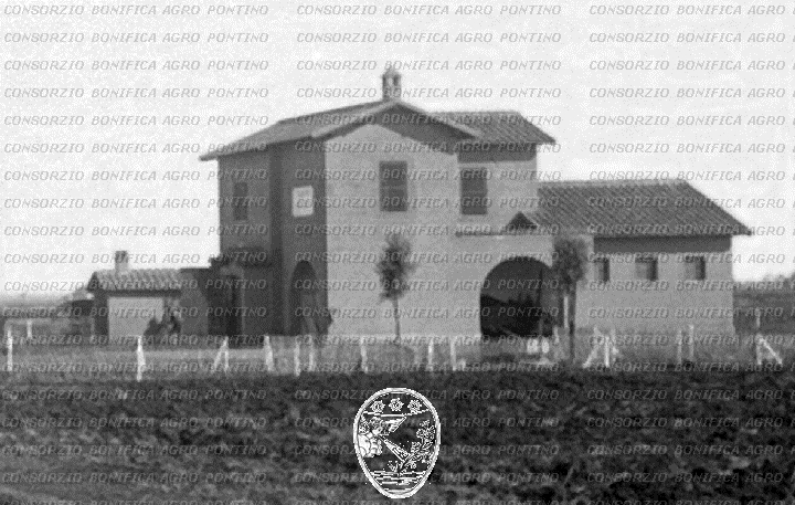 PONTINO/BOR002002.jpg