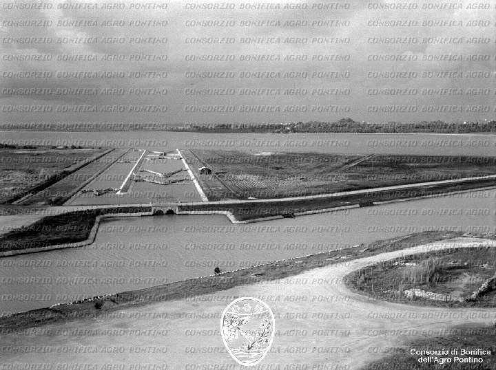 PONTINO/BOR002003.jpg